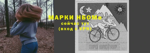 шишки Няндома