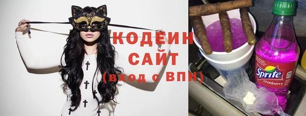 шишки Няндома