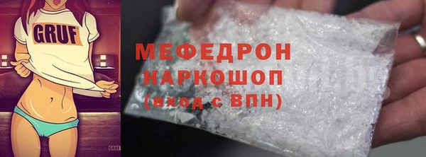 шишки Няндома