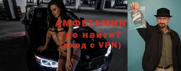 шишки Няндома