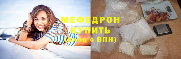 шишки Няндома