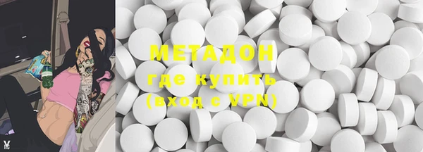 шишки Няндома