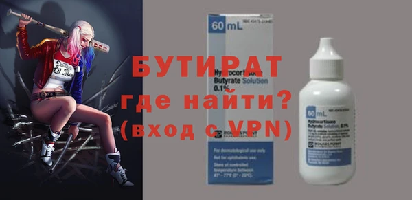 шишки Няндома