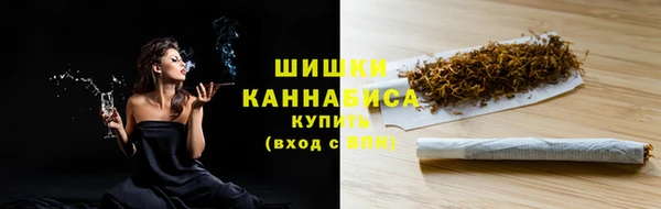 шишки Няндома