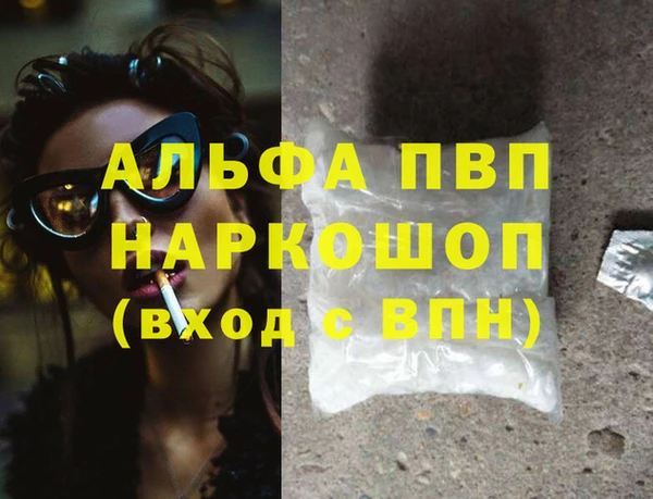 шишки Няндома