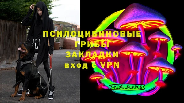 винт Нягань