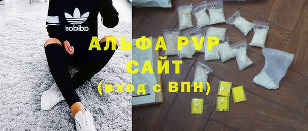 шишки Няндома