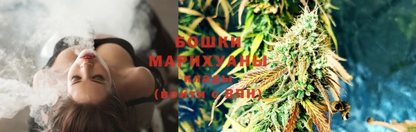 эйфоретик Билибино