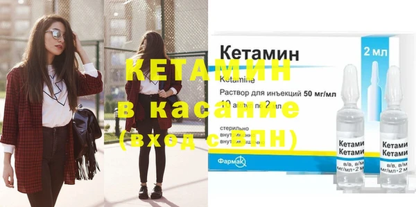 шишки Няндома