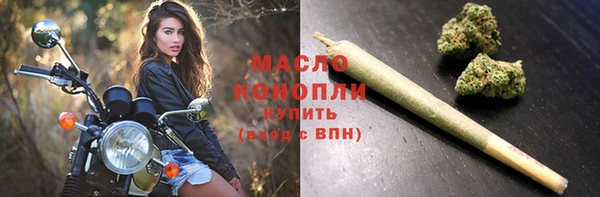 шишки Няндома
