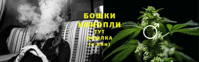 дарк нет наркотические препараты  как найти наркотики  Бирюч  Марихуана SATIVA & INDICA 